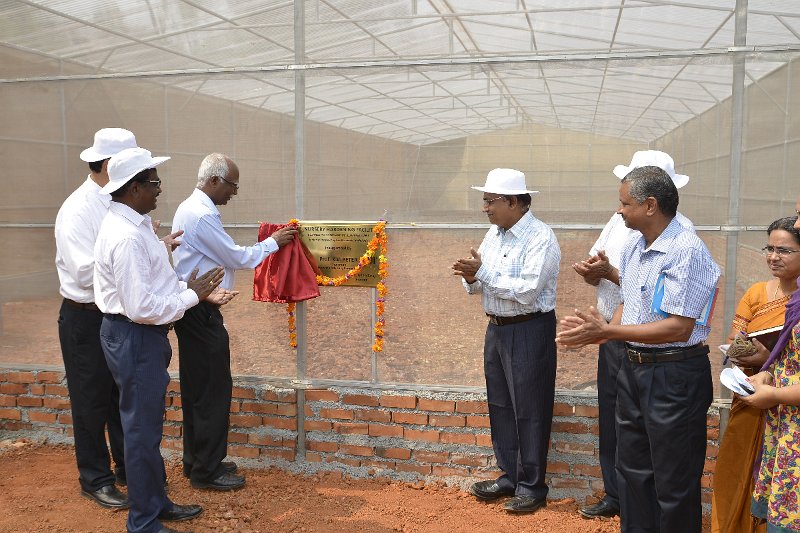 03Apr2014_00040 (53).JPG